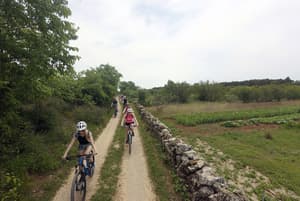 thumbnail: Bicycling