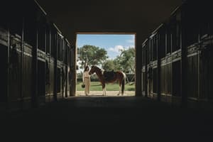 thumbnail: Property amenity