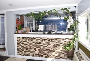 thumbnail: Reception