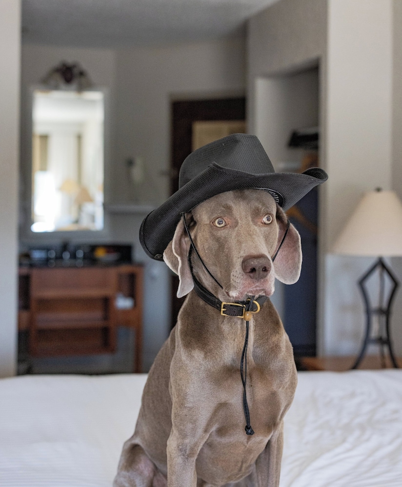 Electric vehicle charging station