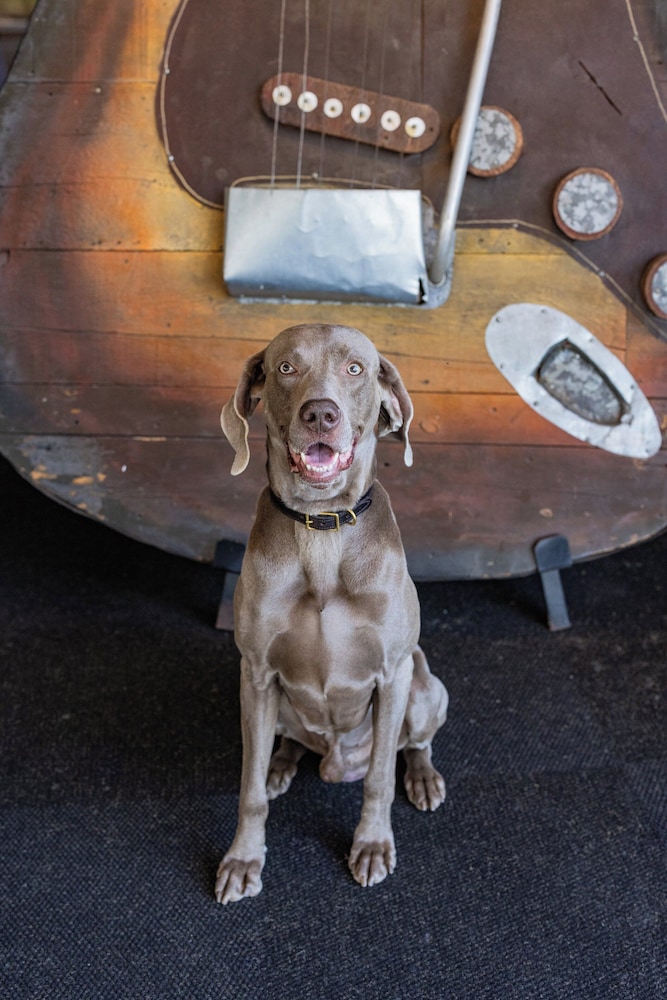 Electric vehicle charging station