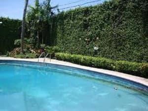 thumbnail: Pool