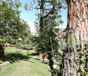 thumbnail: Courtyard