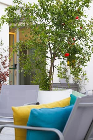 thumbnail: Rooftop terrace