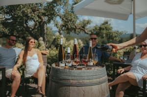 thumbnail: Vineyard