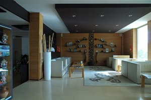 thumbnail: Reception