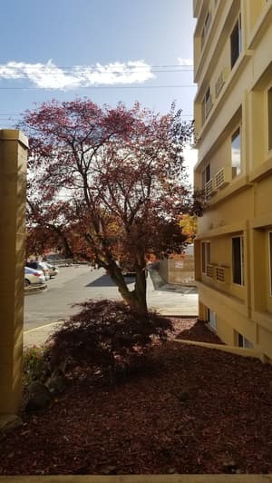 thumbnail: Property grounds