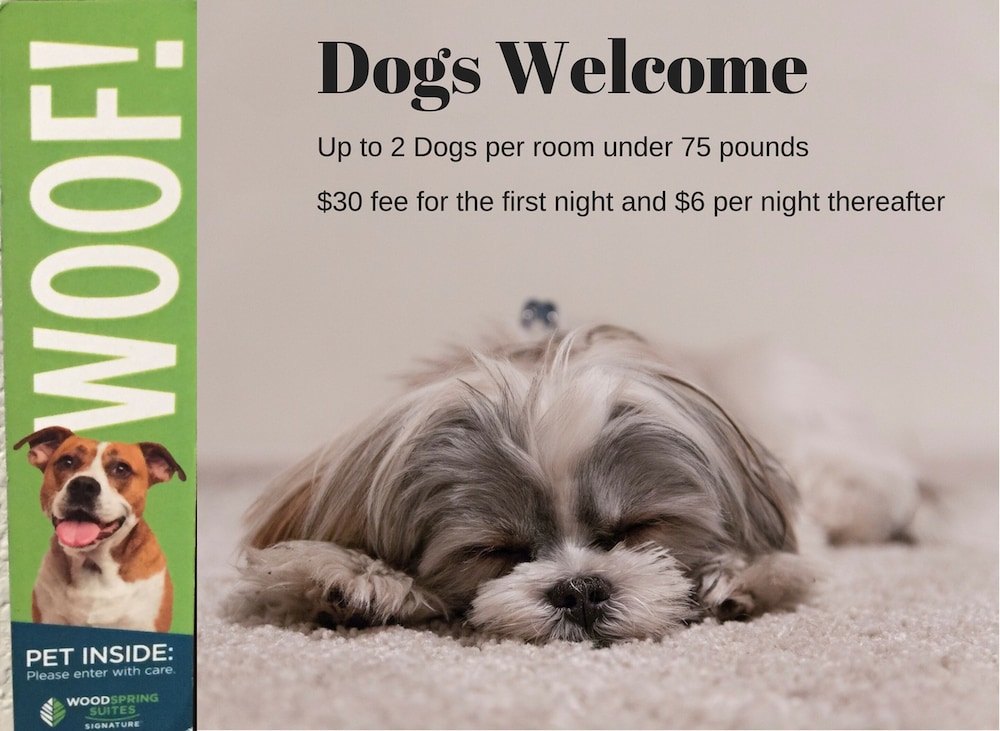 Pet-friendly