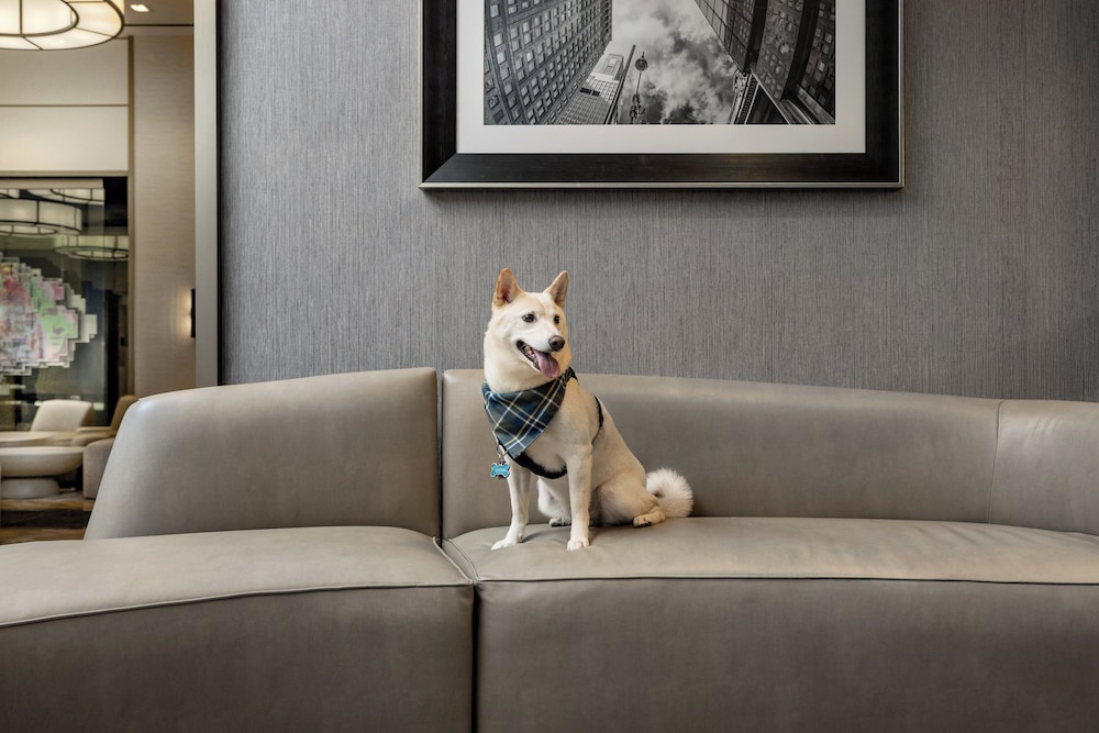 Pet-friendly
