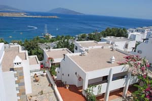 thumbnail: General view