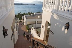 thumbnail: General view