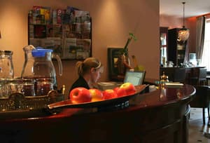 thumbnail: Reception
