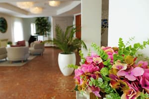 thumbnail: Interior