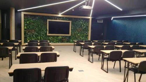 230973135.jpg
