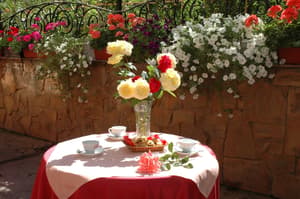 thumbnail: Outdoor dining