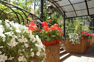 thumbnail: Garden
