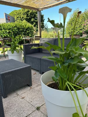 thumbnail: Breakfast area