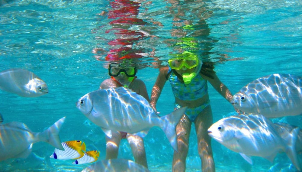Children's activities