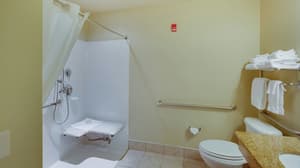 thumbnail: Accessible bathroom