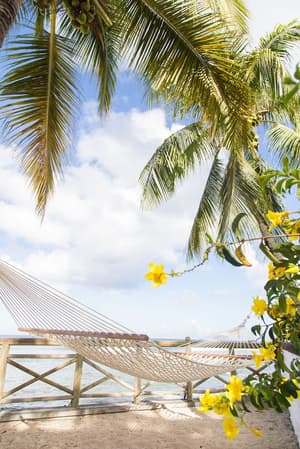 thumbnail: Interior