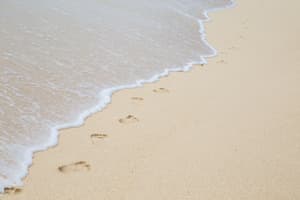 thumbnail: Beach