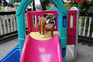 thumbnail: Children's play area - outdoor