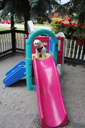 thumbnail: Children's activities