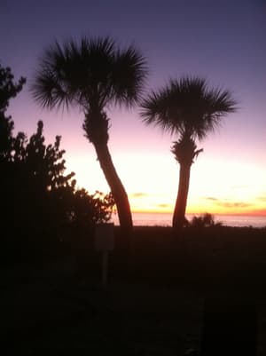thumbnail: Beach