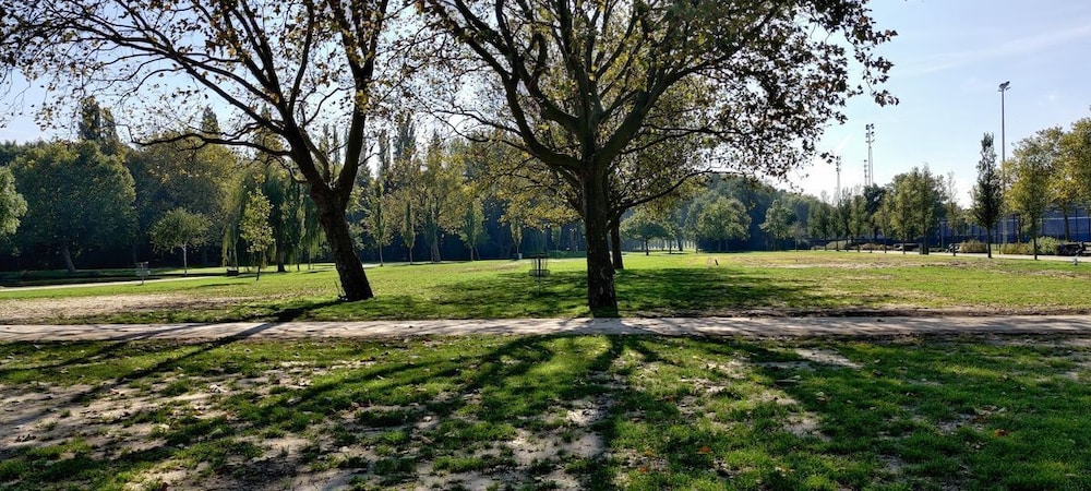 Park view