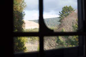 thumbnail: View from room