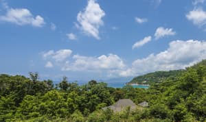 thumbnail: View from property