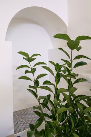 thumbnail: Interior detail