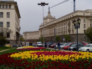 thumbnail: General view