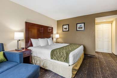 Guest Room,Suite,On-Site