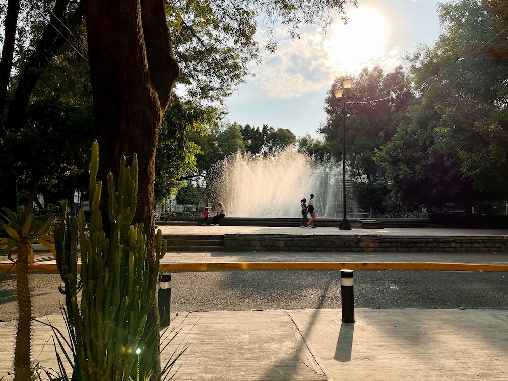 Park view