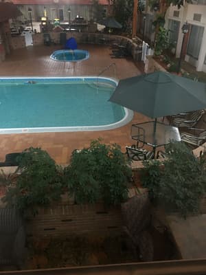 thumbnail: Outdoor pool