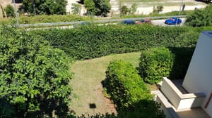 thumbnail: Garden view
