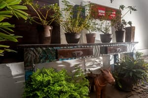thumbnail: Garden