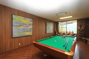 thumbnail: Billiards