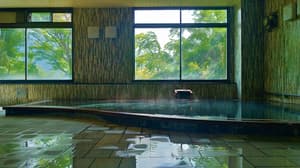 thumbnail: Hot springs