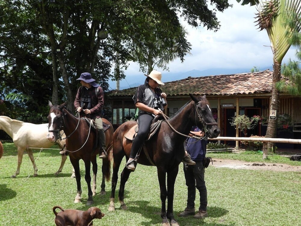 Ecotours