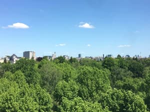 thumbnail: Aerial view