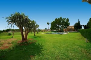thumbnail: Garden