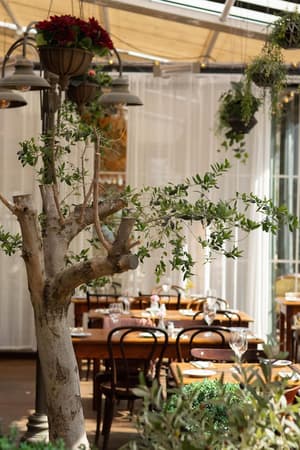 thumbnail: Restaurant