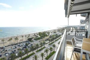 thumbnail: 209937536.jpg