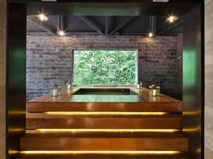 thumbnail: Indoor spa tub