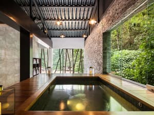 thumbnail: Indoor spa tub