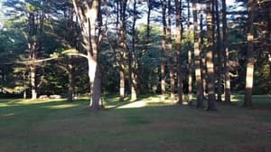 thumbnail: Property grounds