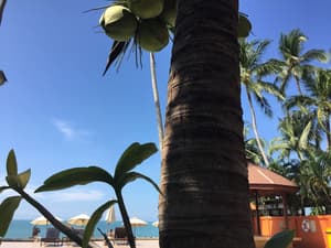 thumbnail: View from property