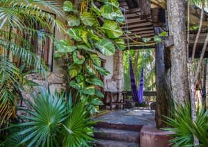 thumbnail: Terrace/patio